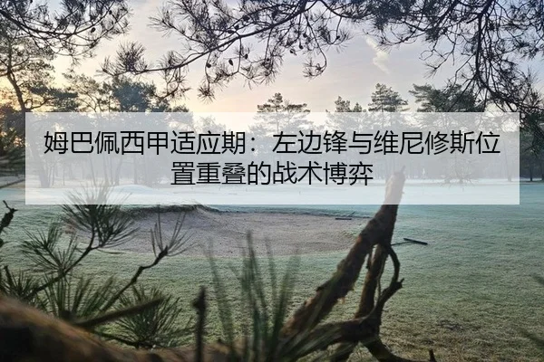 mu-ba-pei-xi-jia-shi-ying-qi-zuo-bian-feng-yu-wei-ni-xiu-si-wei-zhi-chong-die-de-zhan-shu-bo-yi-2-809.jpg